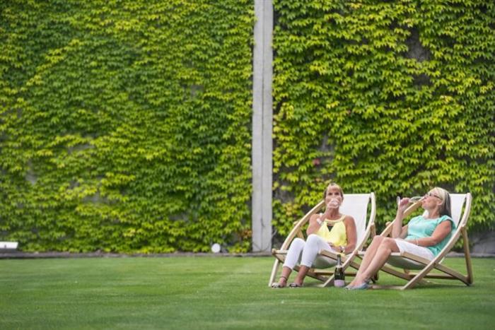 Full Day Wine Tour - Includes Lunch - 2 x Adult