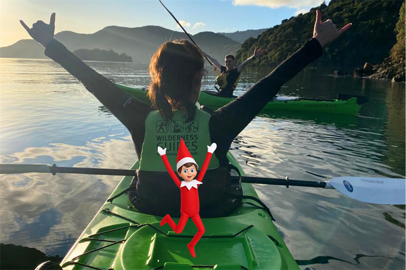 Half Day Guided Kayak - 2 x Audlts